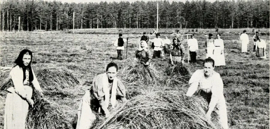 Конец военного коммунизма и замена его НЭПом в значительной степени облегчили экономические и политические проблемы крестьянства, по крайней мере, на время / Изображение: общественное достояние