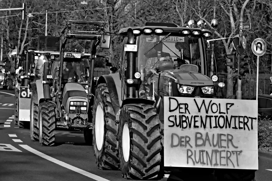 Это движение чревато опасными политическими последствиями для правящего класса / Изображение: conceptphoto.info, Flickr